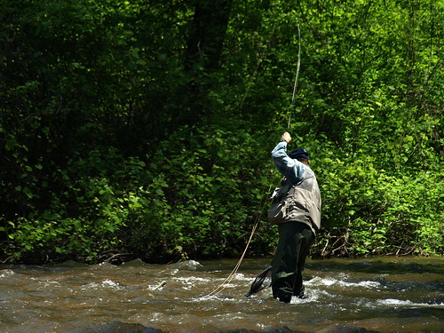 Fly fishing